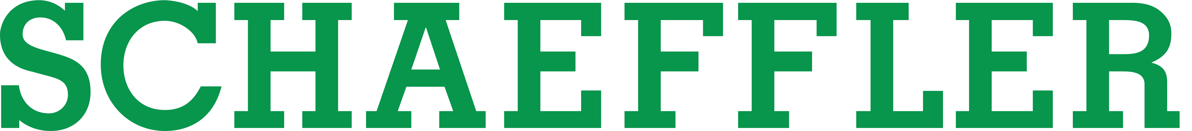 Schaeffler / INA